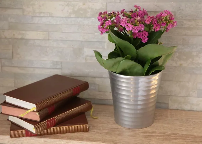 Aurelia Guest house Verona