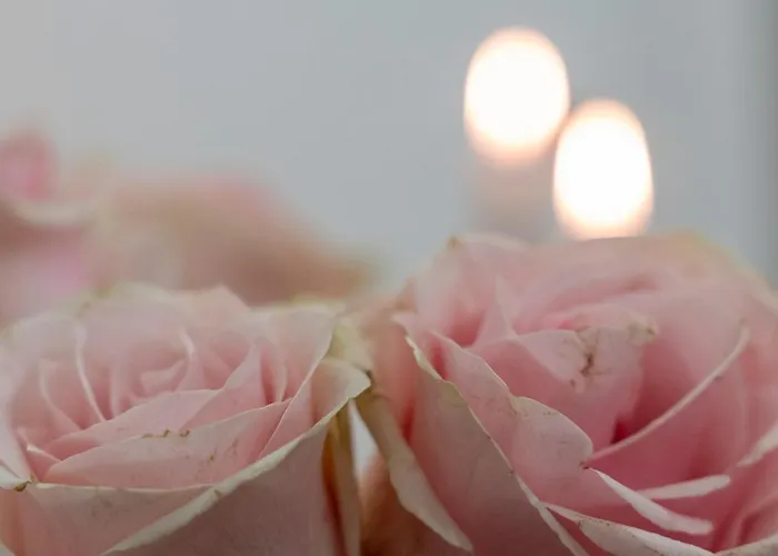 Aurelia Affittacamere 4*