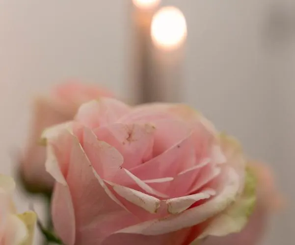 Affittacamere Aurelia 4*