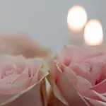 Aurelia Gæstehus 4*