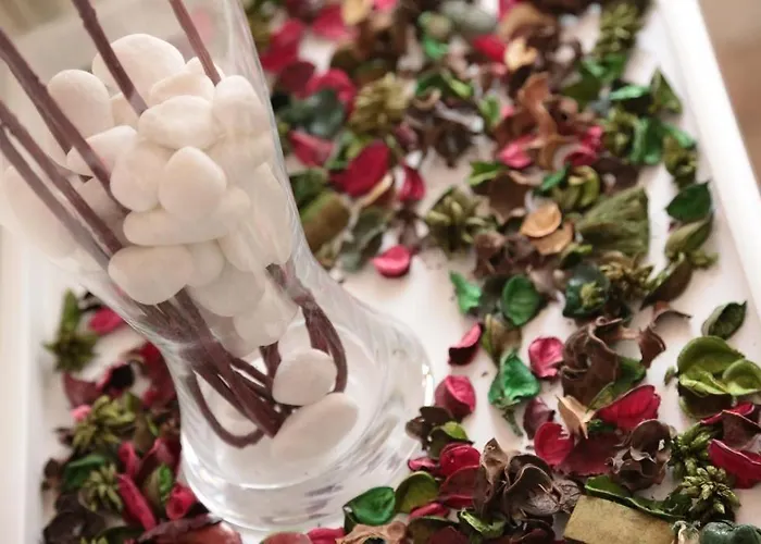 בית הארחה Aurelia 4*