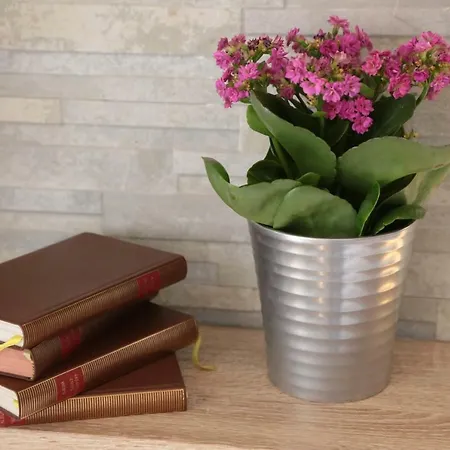 Aurelia Gasthuis Verona